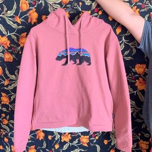 patagonia blush pink hoodie